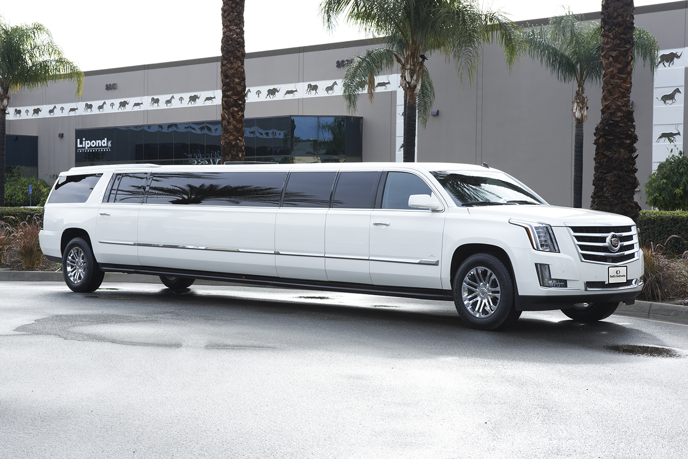 Cadillac Stretch Esclade available in white or black.